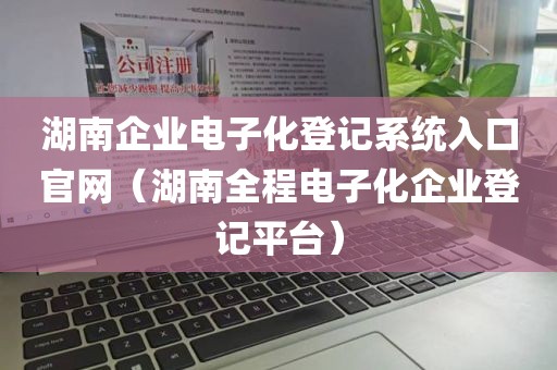 湖南企业电子化登记系统入口官网（湖南全程电子化企业登记平台）