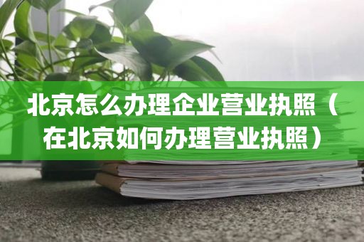 北京怎么办理企业营业执照（在北京如何办理营业执照）